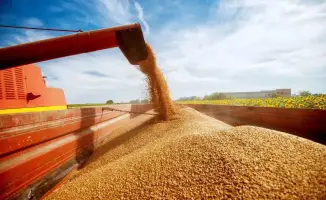 Продкорпорация фиксирует высокий спрос на зерно со стороны птицеводческих предприятий