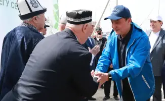 Global Environmental Initiative: Over 9,000 Trees Planted in Kazakhstan's Zhambyl Region