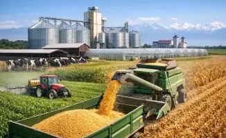 Инвестиции в агропромышленный комплекс Алматинской области: 7 проектов на 44,6 млрд тенге создадут новые рабочие места и увеличат производственный потенциал