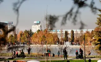 Торговля цветами в Алматы 1150 мест к 8 Марта