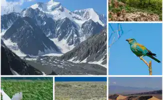 Казахстан утвердил новую Концепцию по сохранению природы, нацеленную на защиту биоразнообразия в период с 2026 по 2035 годы.