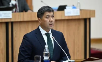 Задержание экс-главы Нацбанка Кыргызстана: Мелис Тургунбаев под стражей