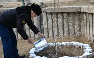 Сажая семена единства: военнослужащие вдохновляют природу в гарнизонах