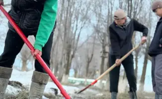 Активное участие сельских школьников в экологических инициативах и социальной помощи