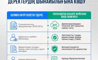 Автоматизация лицензирования туроператоров: повышение прозрачности и снижение риска ошибок