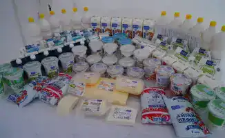 Строительство молочно-товарной фермы и завода по переработке молока в Бурабайском районе: вклад в экономическое развитие региона