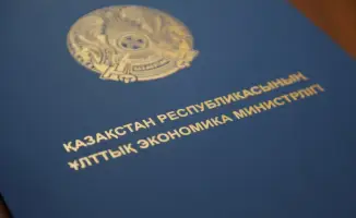 Рост числа социальных предпринимателей в Казахстане: почти удвоение за год