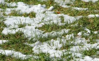 Погода в Астане и Алматы: потепление и гололедица 27-29 марта