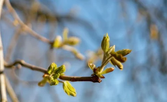 Погода в Астане и Алматы: прогноз на 31 марта, 1 и 2 апреля от синоптиков Казгидромета