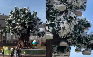 В Алматы установили уникальный арт-объект в виде дерева, привлекающий внимание местных жителей и туристов