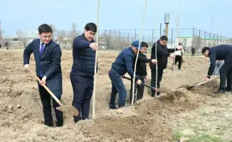 ТУРКЕСТАН: В ЖЕТЫСАЕ ЗА ПЕРИОД ДЕКАДЫ "НАУРЫЗНАМА" ВЫСАЖЕНО 5 ТЫСЯЧ ДЕРЕВЬЕВ