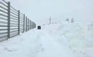 Новая снегозащитная система на трассе «Астана – Кокшетау»: снижение аварийности и повышение безопасности в зимний период