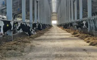 Льготное кредитование животноводства в Казахстане 6% годовых