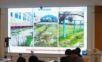 В Туркестанской области запланирована высадка 1 млн саженцев в 2026 году в рамках программы по озеленению