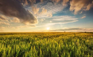 Казгидромет представил сезонный прогноз на весну и лето 2026 года в Казахстане, ожидая, что большую часть времени погода будет теплой. Прогноз охватывает период с апреля по октябрь, и синоптики делятся ожиданиями относительно климатических условий в этот 