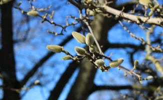 Весенний каприз: Астана и Алматы готовятся к танцу облаков и солнечных лучей 28-30 марта