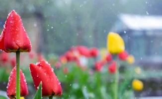 Международный прогноз погоды: Синоптики Казгидромета о погоде в Астане и Алматы 4-6 марта