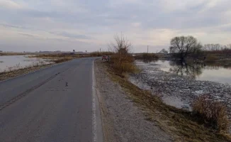 Казахстан временно закрыл пункт пропуска на границе с Россией