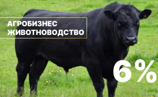 Льготное кредитование животноводства в Казахстане: поддержка аграриев и развитие сельских сообществ