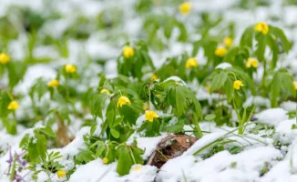 Казахстан под снегом и дождём: циклон в действии!