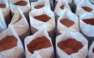 Задержание транснациональной преступной группы: Казахстан предотвращает утечку стратегических биоресурсов