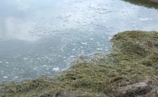 В Казахстане создана специальная группировка сил и средств для борьбы с возможными паводками, сообщил министр по чрезвычайным ситуациям Чингис Аринов.