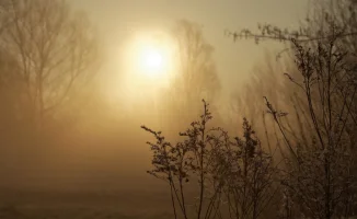 Штормовые предупреждения в Казахстане: возможные последствия для Астаны, Алматы и Шымкента 24 марта