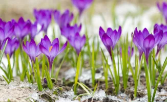 Тепло возвращается в Казахстан: синоптики Казгидромета озвучили прогноз погоды на 12-14 марта