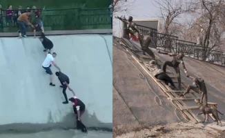 В Алматы появился необычный арт-объект, посвященный трогательной истории спасения собаки на Сайране. Композиция была установлена в знак признания доброго поступка местных жителей, которые проявили заботу и сострадание к бездомному животному.