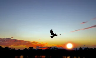 Жаркая погода до 30 градусов в Астане, Алматы и Шымкенте: возможные последствия для здоровья и сельского хозяйства