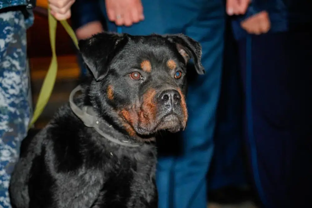 «Закон и порядок»: в Астане прошел ночной рейд по профилактике правонарушений (9)