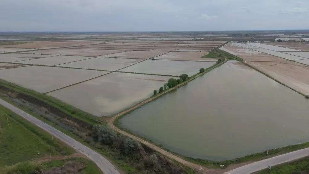 400 млн кубометров воды было подано для промывки почвы в Туркестанской области (5)