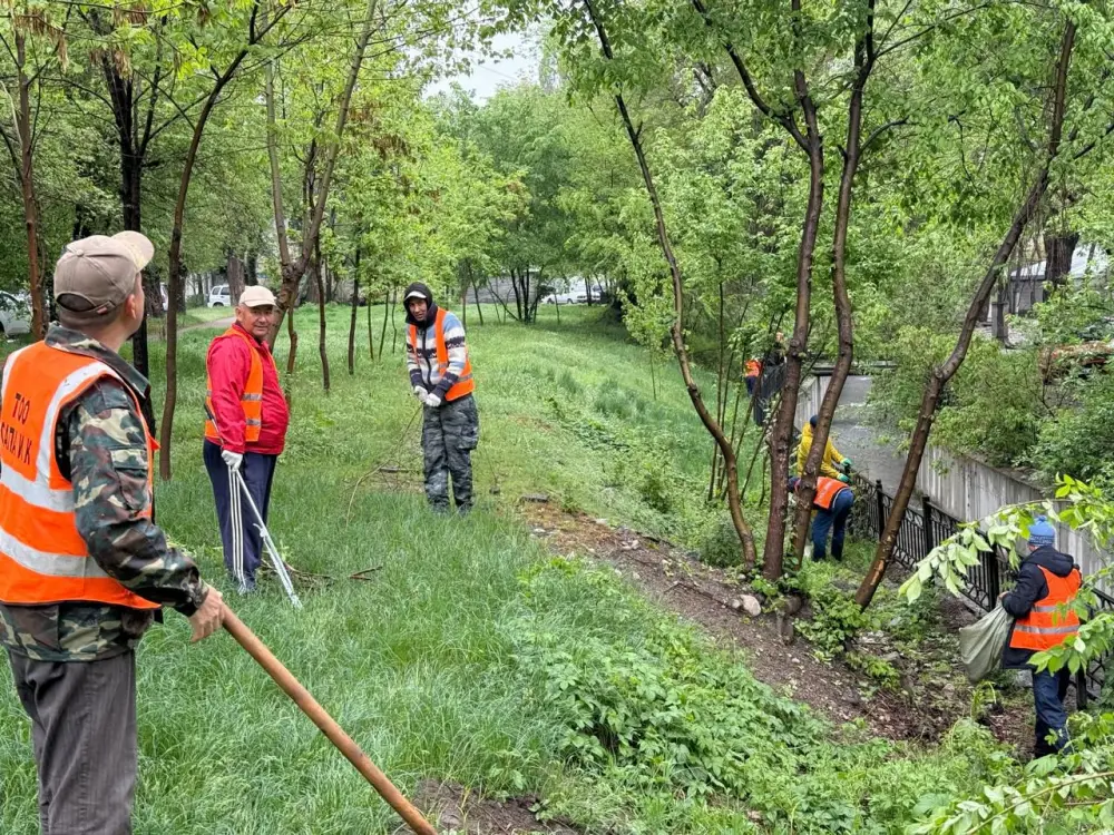 В Алматы в рамках «Мөлдір бұлақ» проведена очистка прибрежных территорий (4)