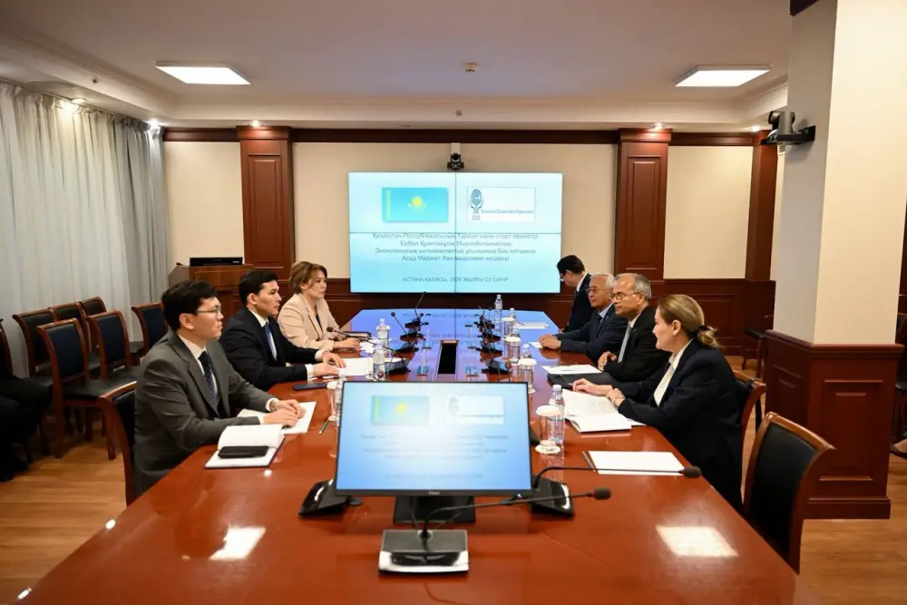 Ербол Мырзабосынов встретился с Генеральным секретарём Организации экономического сотрудничества Асадом Маджид Ханом (8)