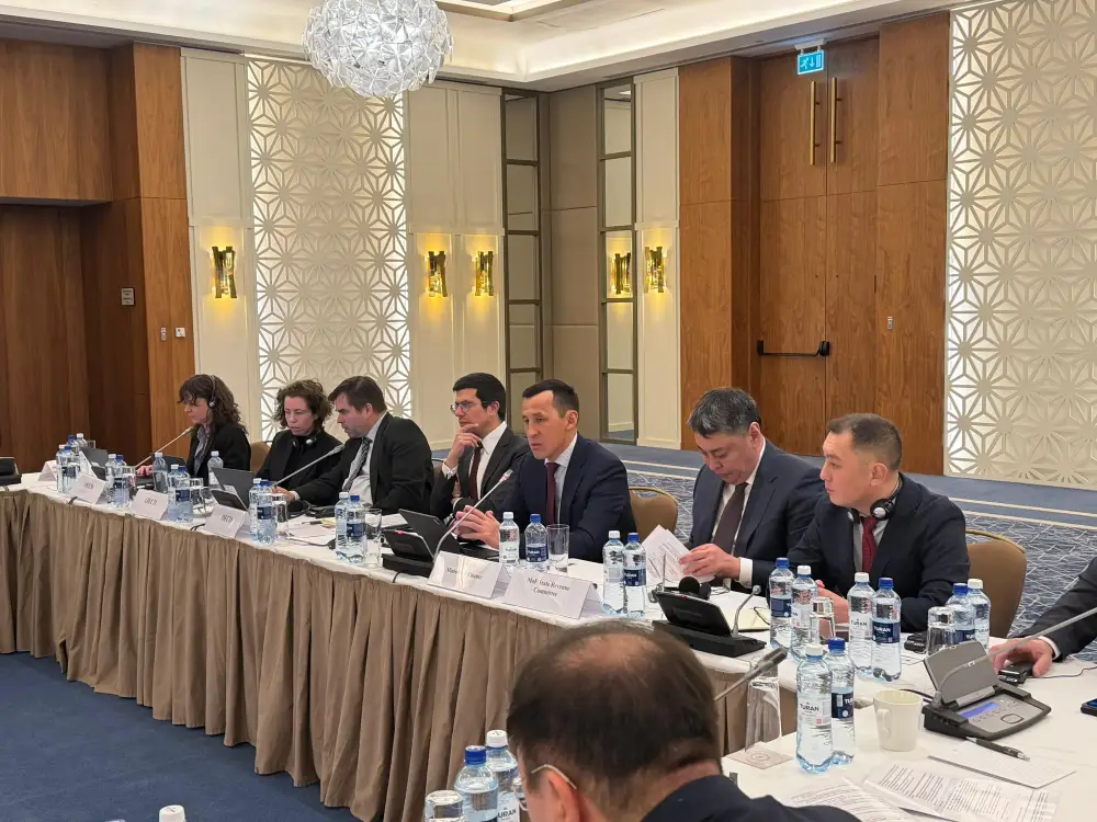 В Астане обсудили налоги и прозрачность в сфере критически важных минералов (3)