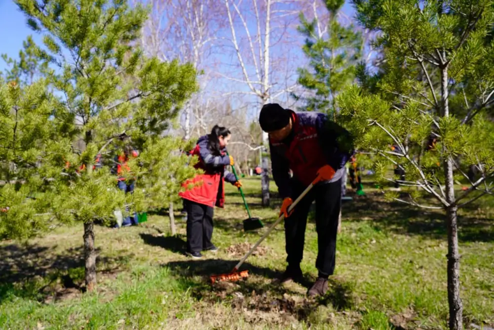 40 тысяч человек и 100 тонн мусора: как прошёл «Таза аула» в Астане (8)