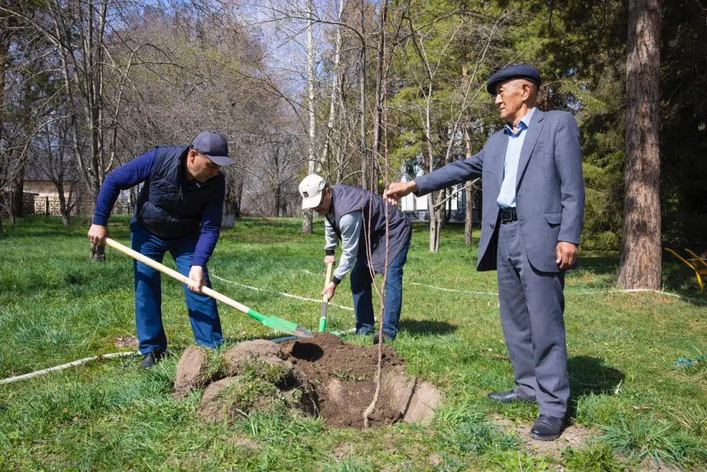 К 180-летию высажено 180 саженцев (2)