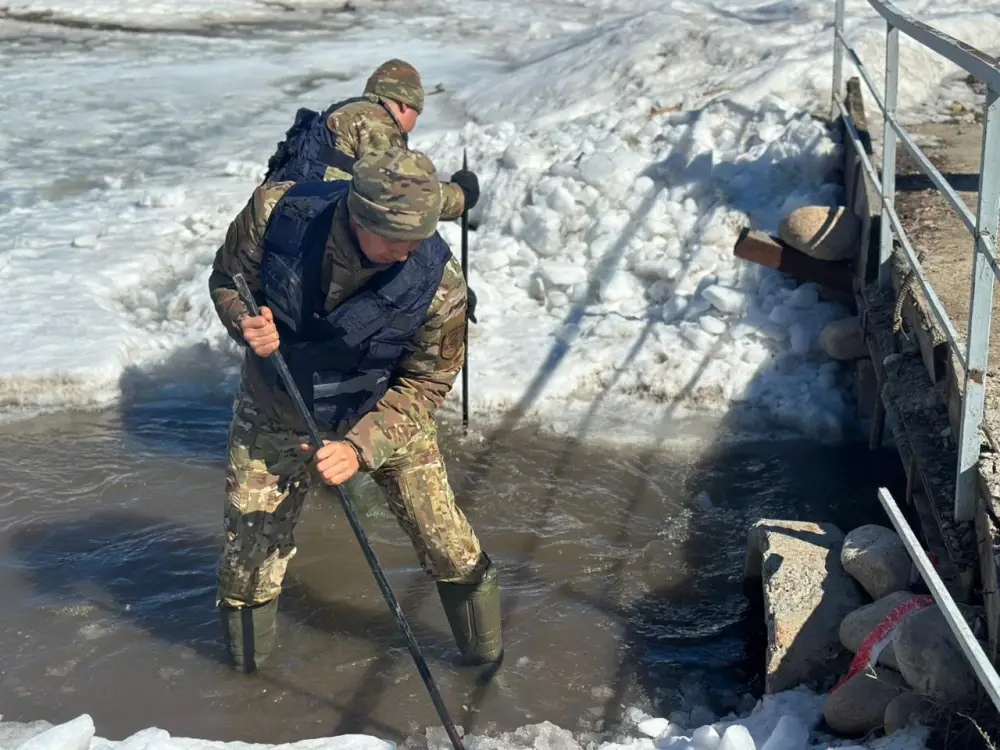 Воинские части МЧС на защите территорий от паводков (3)