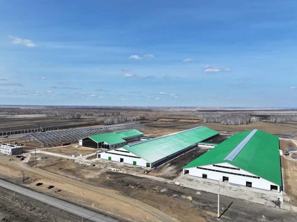 9000 голов элитного КРС завезли в Северо-Казахстанскую область за три года (4)