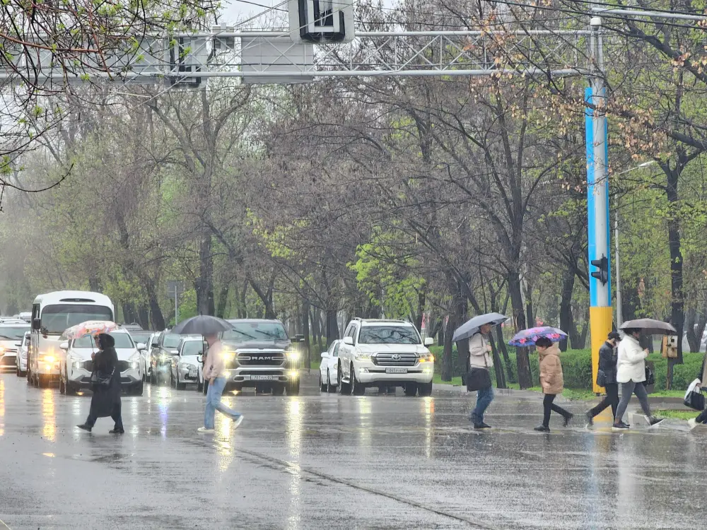 Коммунальные службы Алматы переведены в режим готовности к ливням (2)