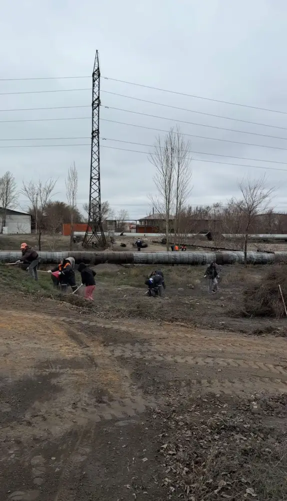 В Павлодарской области прошла экологическая акция «Таза қала» (4)