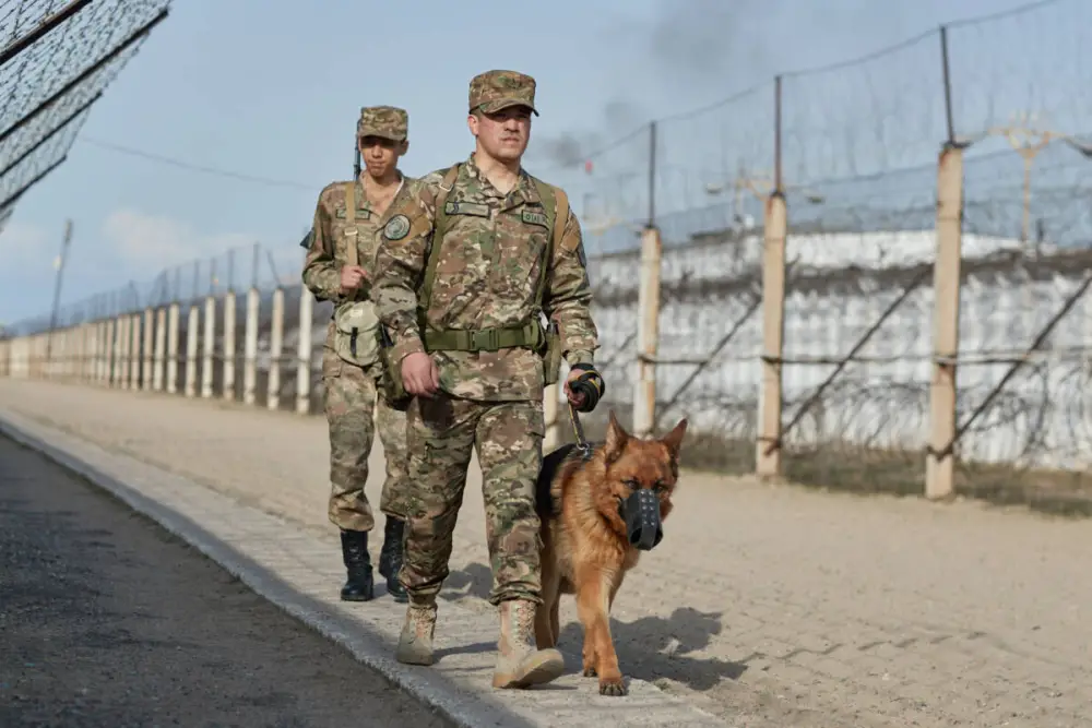 Более 3000 нарушителей задержаны военнослужащими Нацгвардии с начала года (4)