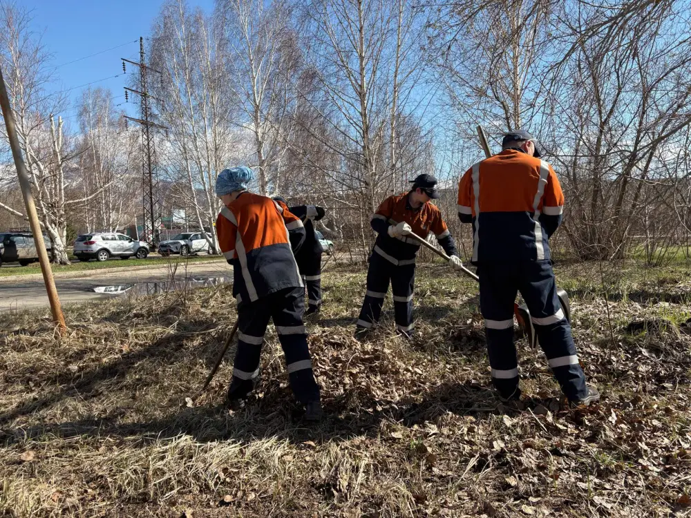 В Риддере высадили более 20 тысяч деревьев (5)