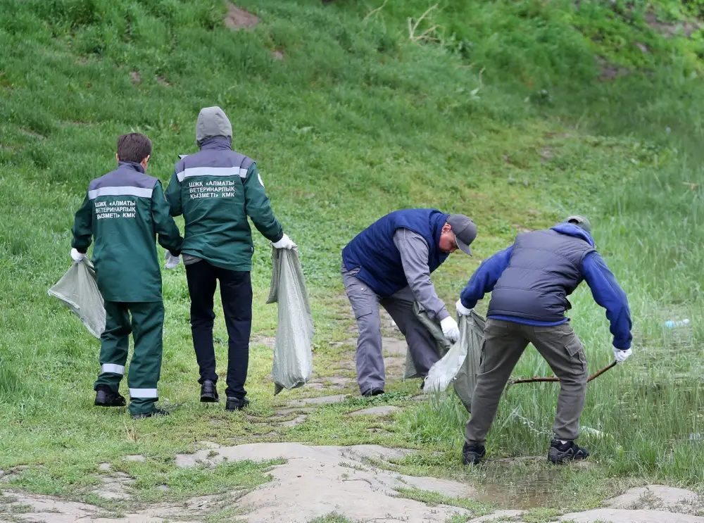 В Алматы очистили Карасу, Боралдай и территорию Большого Алматинского канала (4)