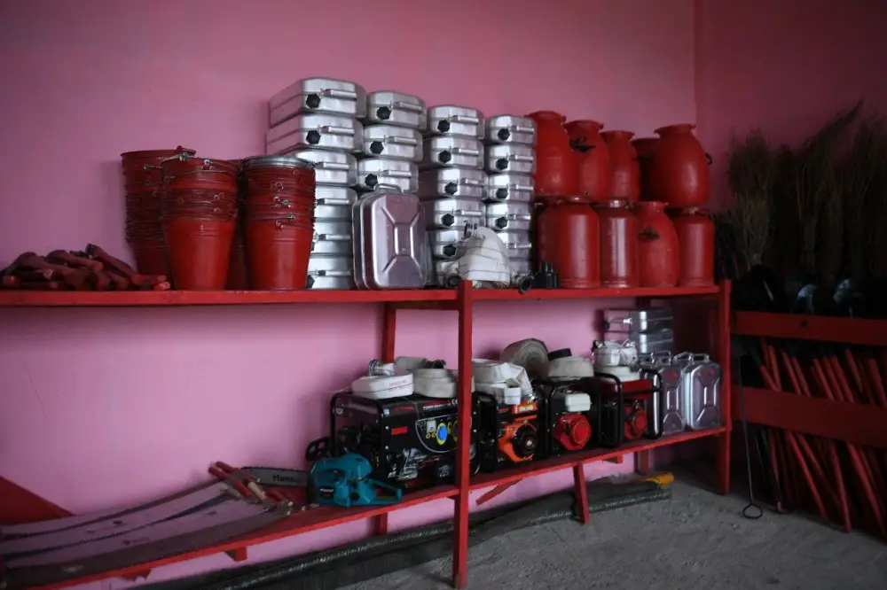 Лесной фонд в Алматинской области расширяется (5)