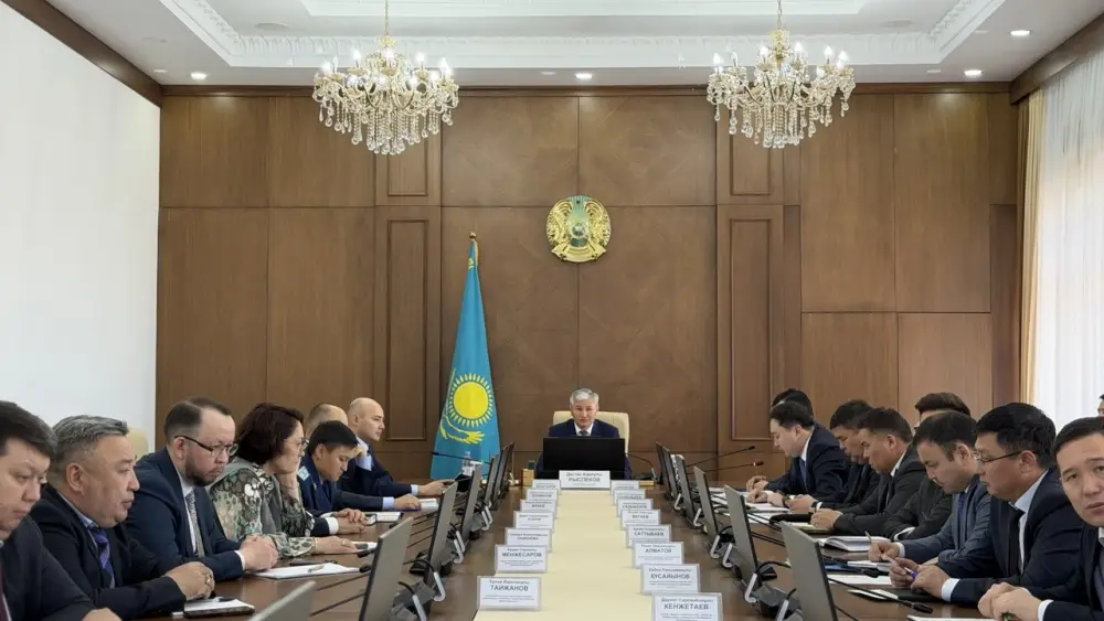 В Улытауской области обсудили привлечение инвестиций и развитие промышленности (6)