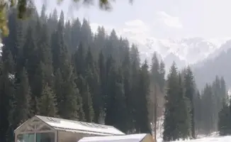 Алматы: убери мусор, получи кофе в горах