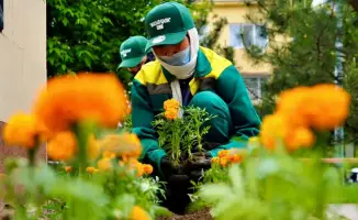 Благоустройство и озеленение в Кентау в рамках программы Таза Қазақстан