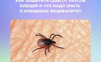 Клещи активизировались: в Казахстане уже 500 случаев укусов!