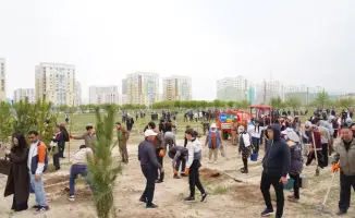 Экологическая инициатива в Туркестане: высадка 2200 деревьев как шаг к озеленению региона